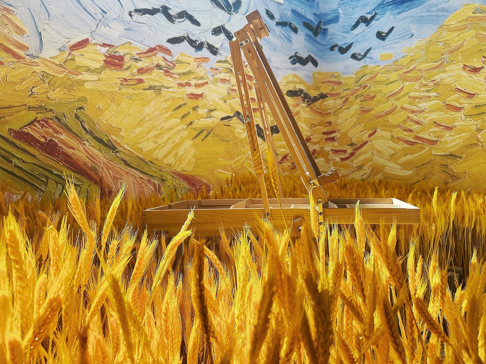 People in nature, Natural landscape, Rural area, Khorasan wheat, Sky, Ecoregion, Yellow, Grass, Plant