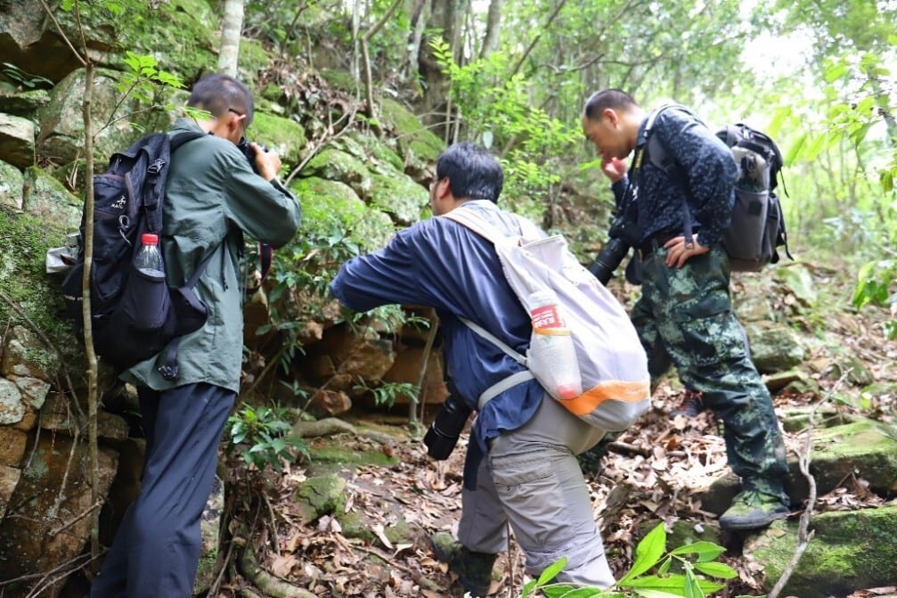 Luggage and bags, Plant community, Cargo pants, Military camouflage, Tree