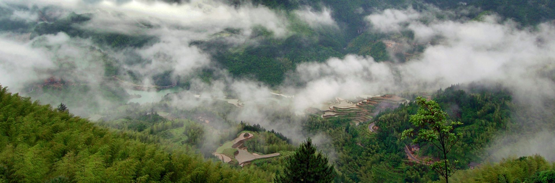 Water resources, Natural landscape, Cloud, Ecoregion, Sky, Tree, Highland, Vegetation, Plant, Mountain