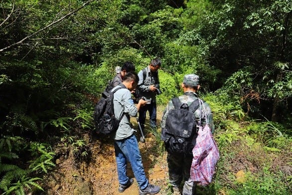 Luggage and bags, People in nature, Plant community, Natural landscape, Outdoor recreation, Bag, Backpack, Tree