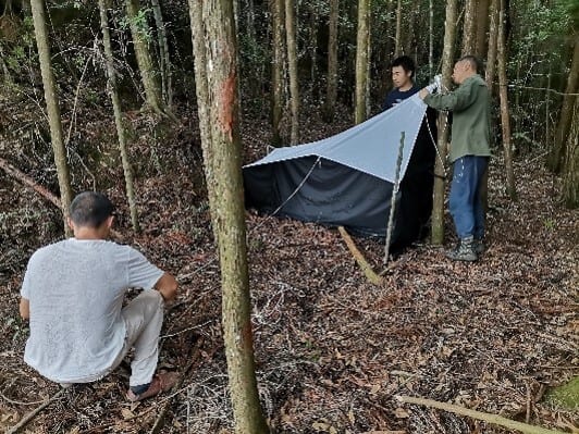 People in nature, Plant, Tent, Tree, Tarpaulin, Biome, Shade