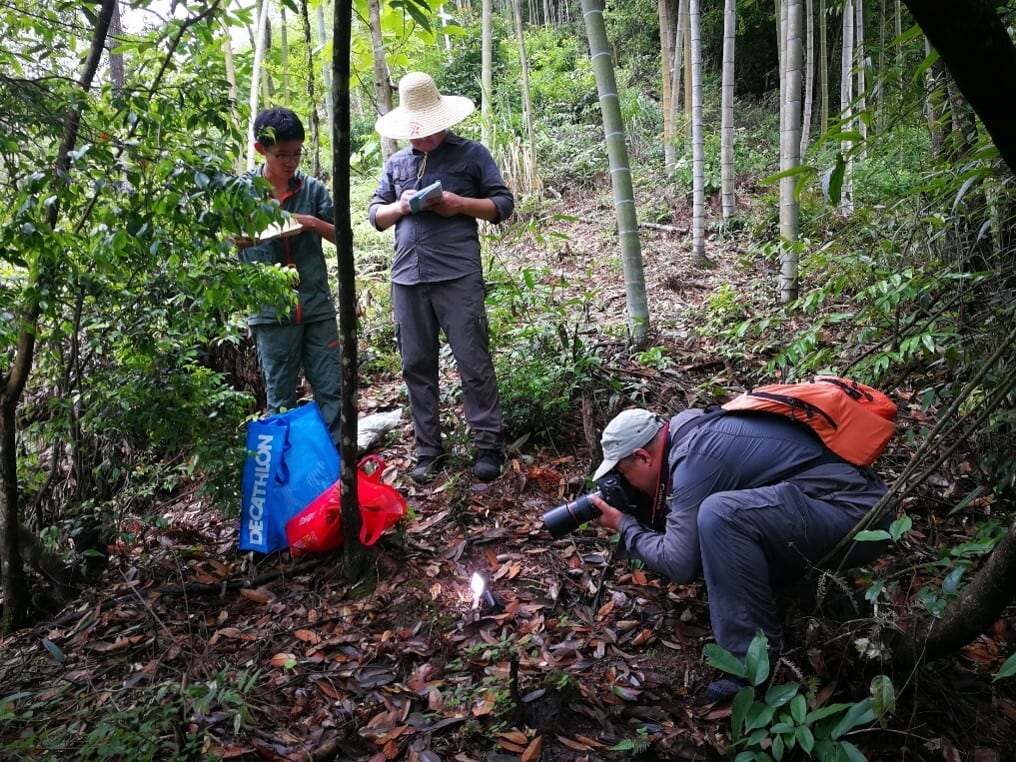 Luggage and bags, People in nature, Plant community, Natural landscape, Outdoor recreation, Tree, Branch, Bag, Mammal